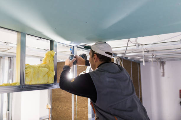 Professional Insulation Contractor in Eggertsville, NY
